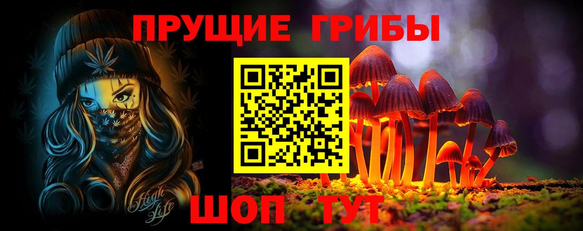 Александров  Псилоцибиновые грибы Cubensis  Вход с VPN  Галлюциногенные грибы Cubensis 